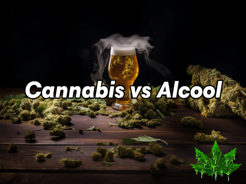 Cannabis vs Alcool