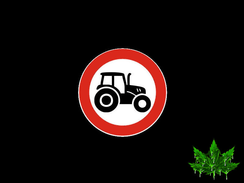 C’est quoi le No Till Liiving Soil?
