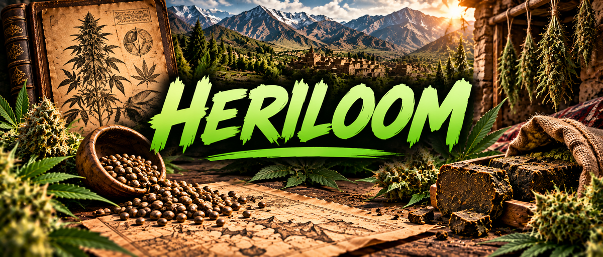 C’est quoi une génétique heirloom?