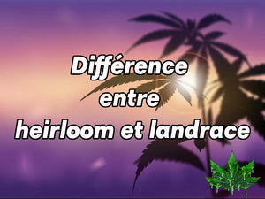 C’est quoi une génétique heirloom?