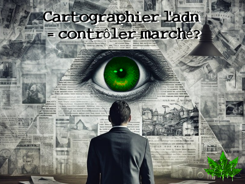 adn cannabis