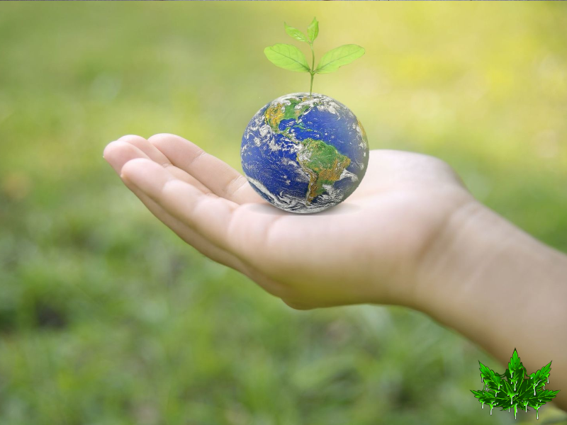 Comment nous pouvons changer le monde aujourd'hui
