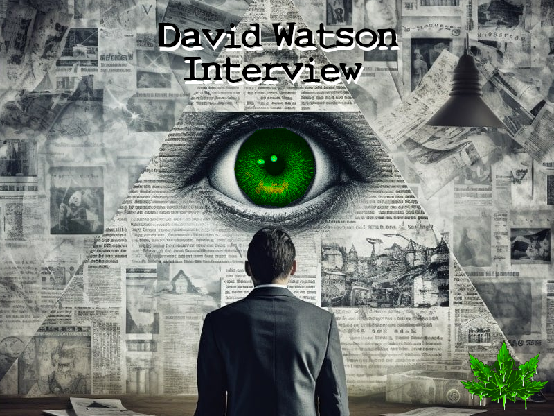 Interview David Watson : "L'énigme du cannabis."