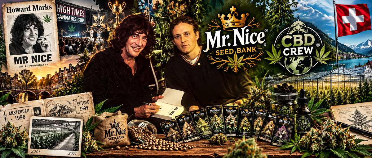 Héritage du roi Mr. Nice seed + Cbd crew
