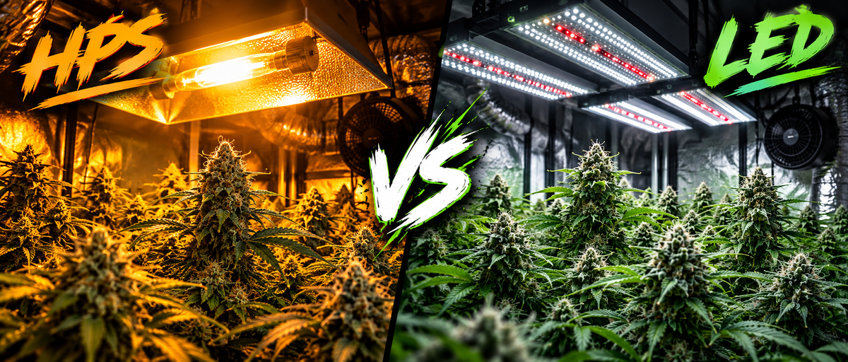 Hps Vs Led