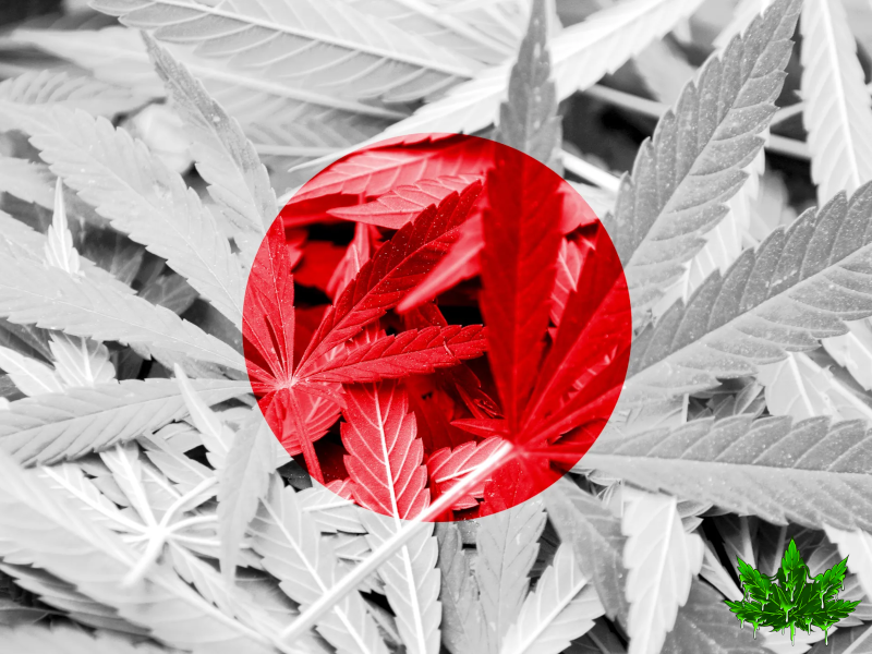 The True Story of Cannabis in Japan