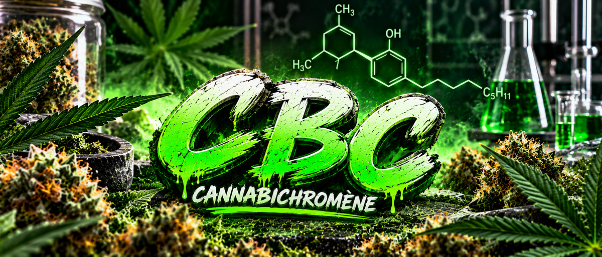 Le cbc c’est quoi?