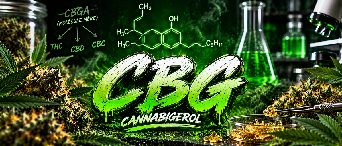 Le cbg c’est quoi?