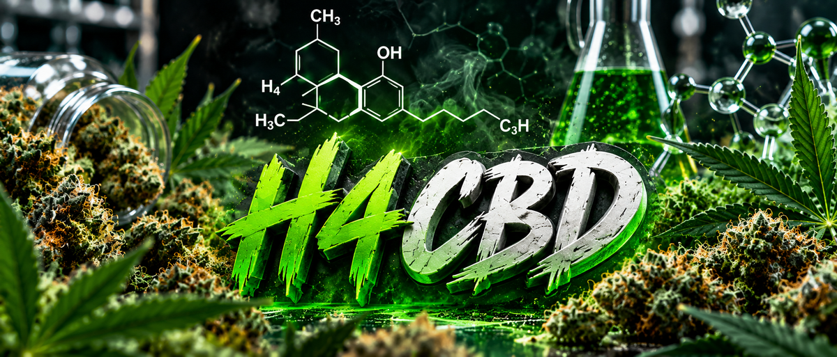 Le h4cbd c’est quoi?