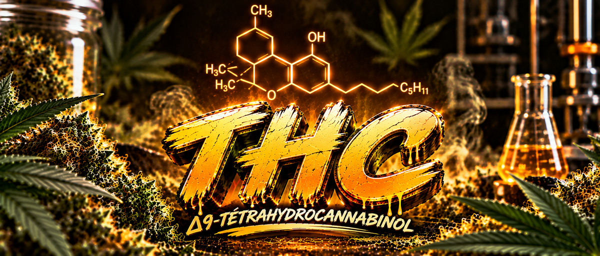 Le thc c’est quoi?