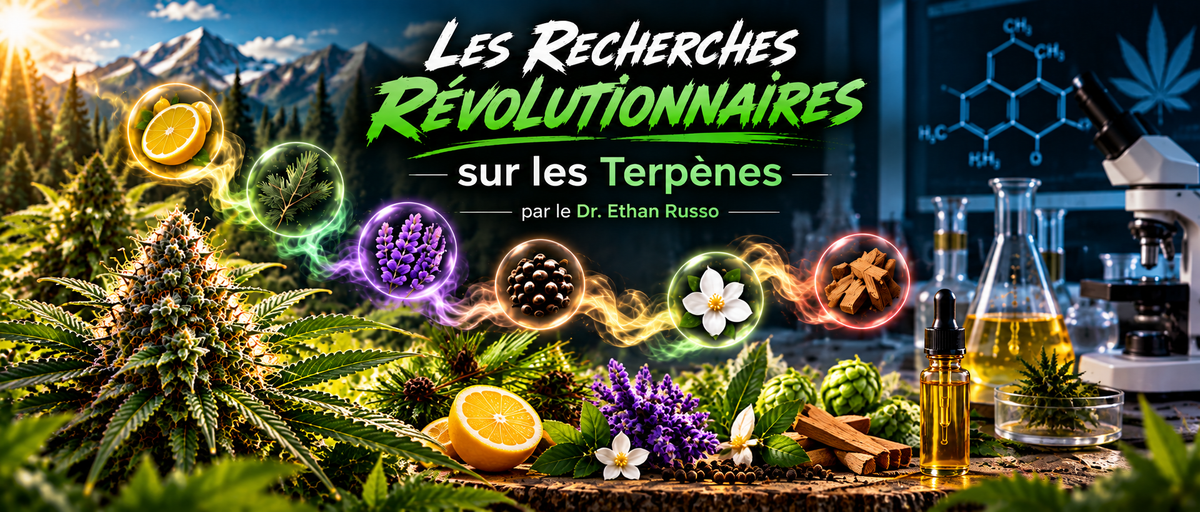 Les Recherches Révolutionnaires sur les Terpènes par le Dr. Ethan Russo