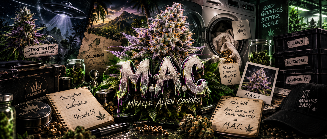 M.A.C. : La vértibable histoire de la Miracle Alien Cookies