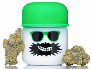 M.A.C.: The True Story of the Miracle Alien Cookies
