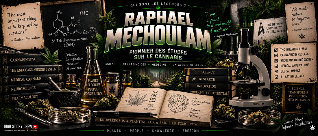 Raphael Mechoulam : Pionnier des Études sur le Cannabis