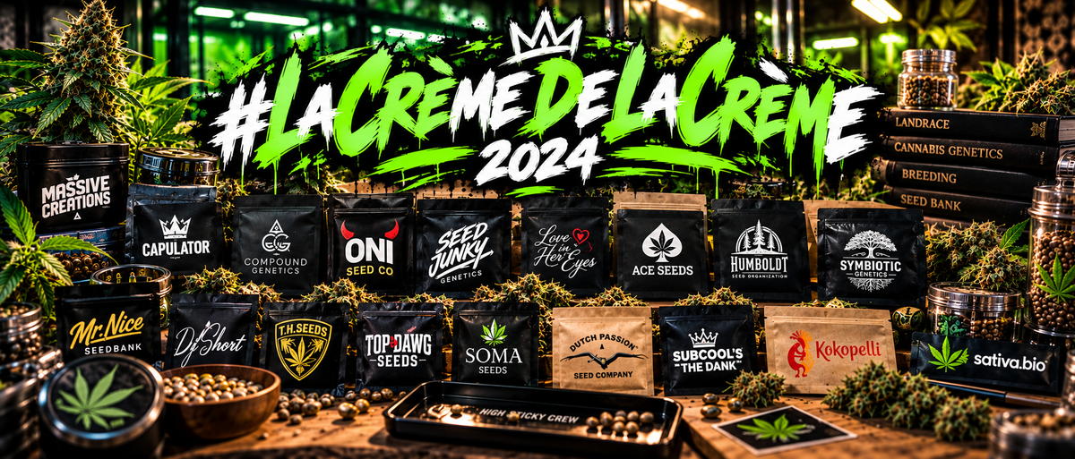 Meilleures seed bank