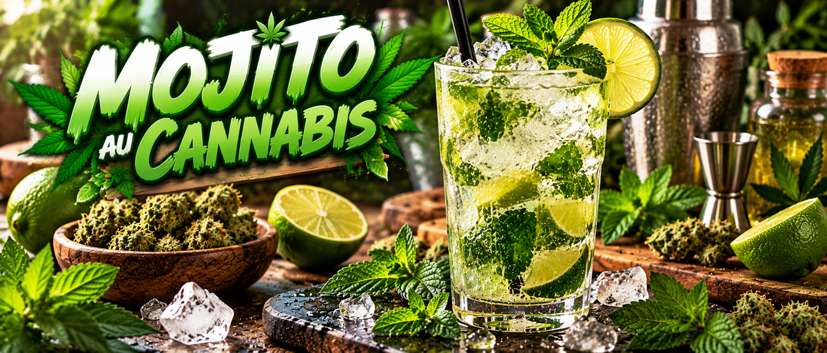 Mojito au Cannabis