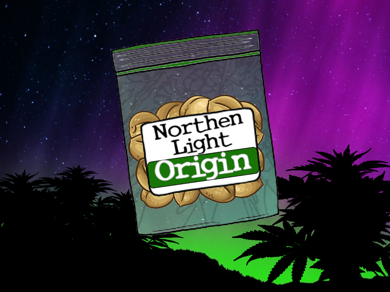 History of the Northern Light