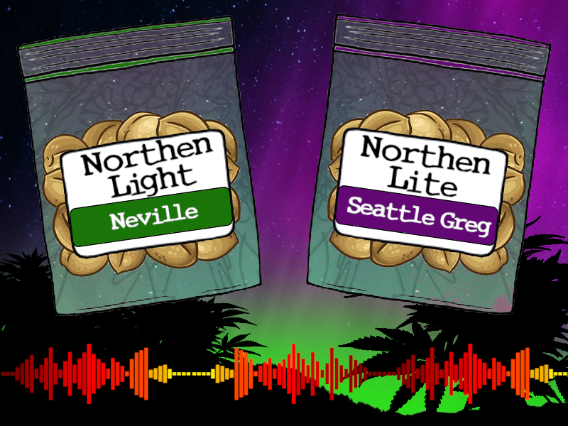 Northern lite vs Northern light