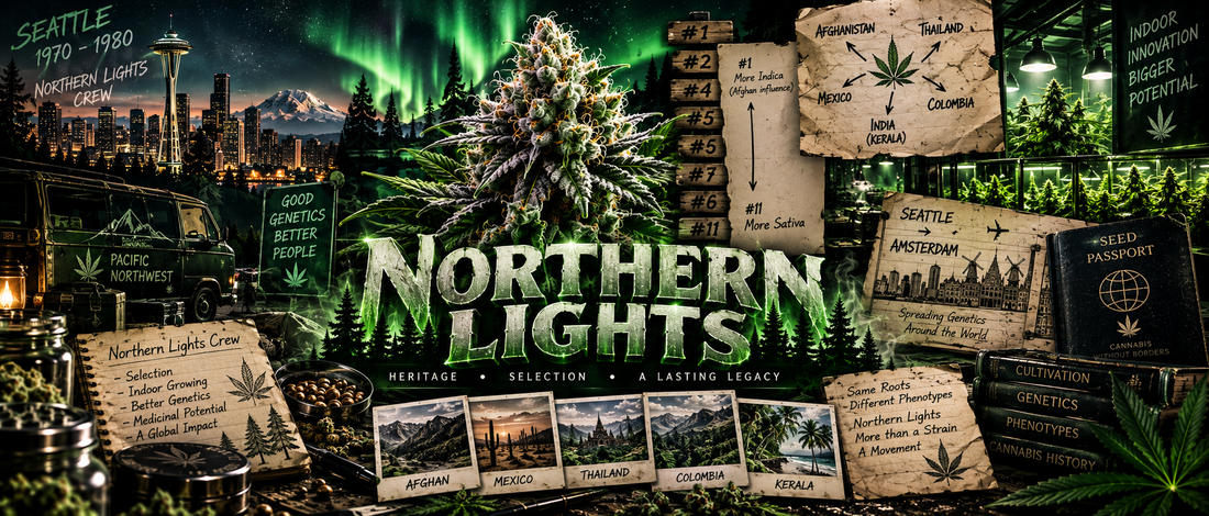 Histoire de la Northen Light
