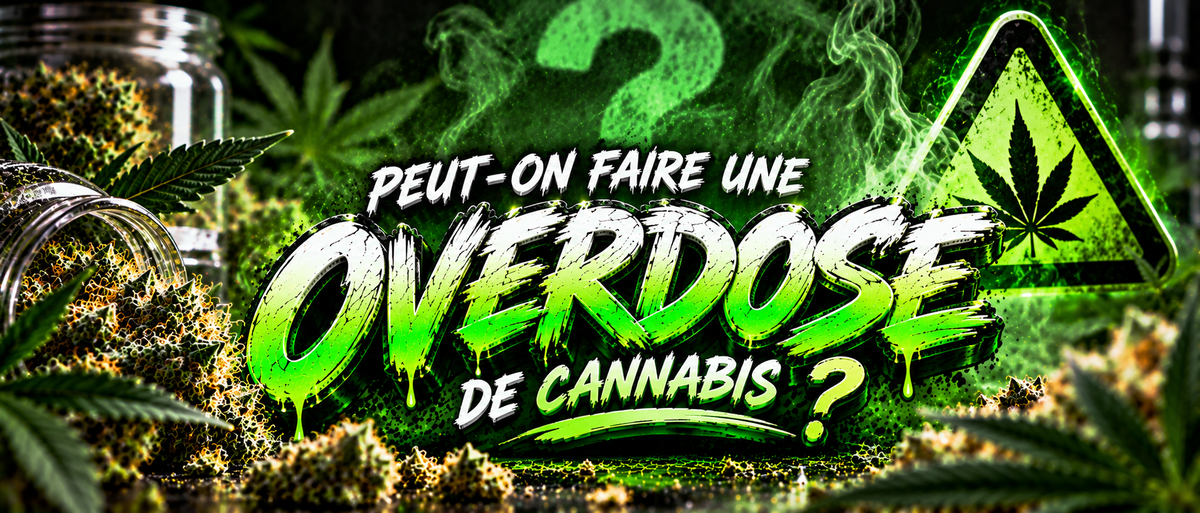 Peut-on faire un OverDose de cannabis?