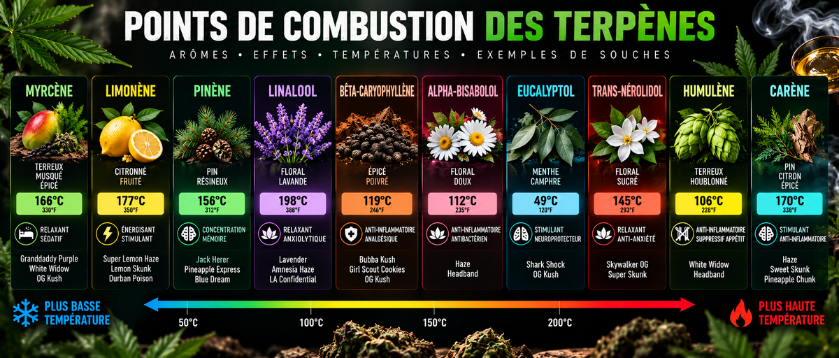 Points de Combustion des Terpènes