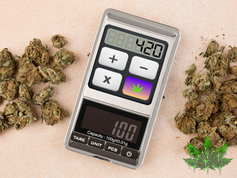 Coût pour cultiver son propre cannabis?