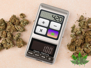 Coût pour cultiver son propre cannabis?