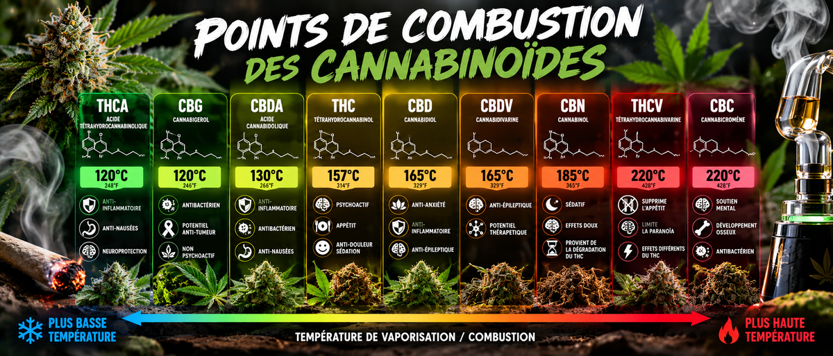 Quels sont les points de combustion des cannabinoïdes ?