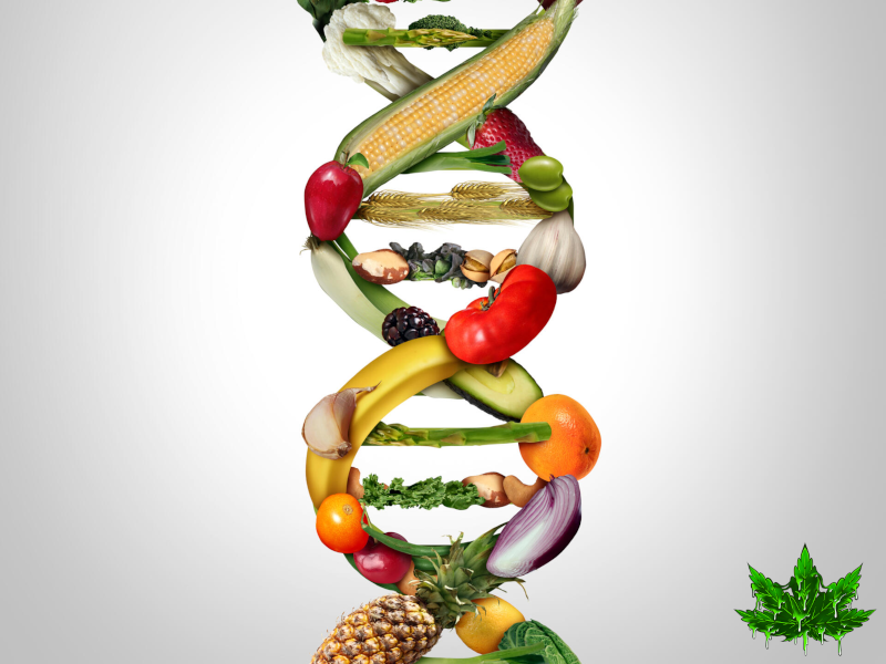 Genetically modified foods