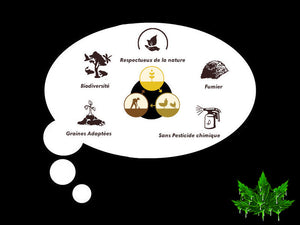 C’est quoi les engrais organique