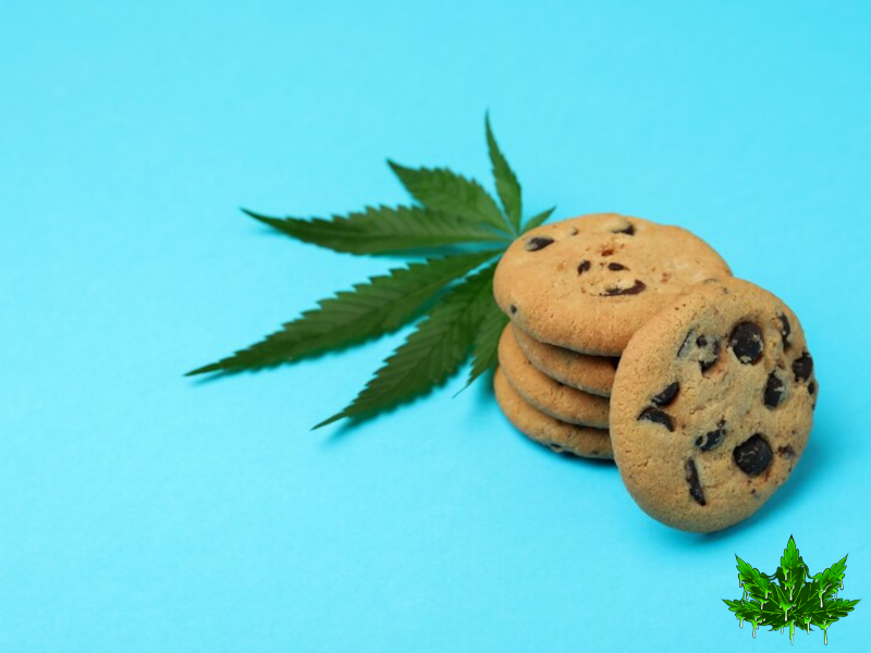 Space Cookies