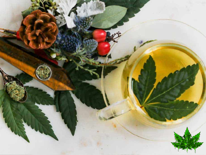 infusion cannabis