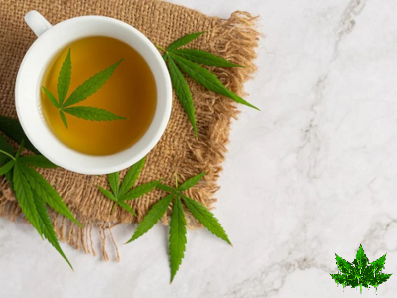 cannabis infusion