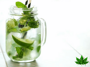 Cannabis Mojito