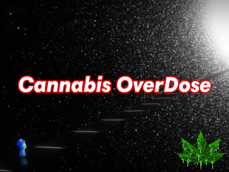Peut-on faire un OverDose de cannabis?