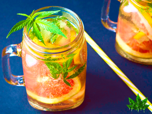Cannabis and Rum Punch