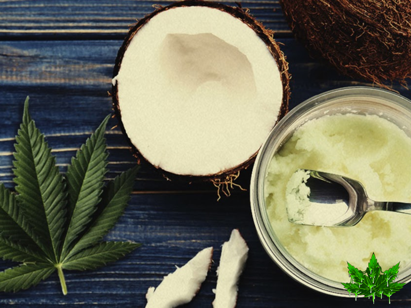 cannabis cooc oil