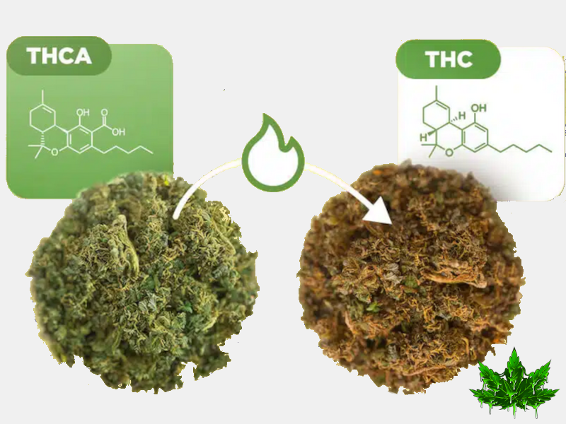 cannabis decarbo