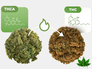 How to Decarboxylate Cannabis