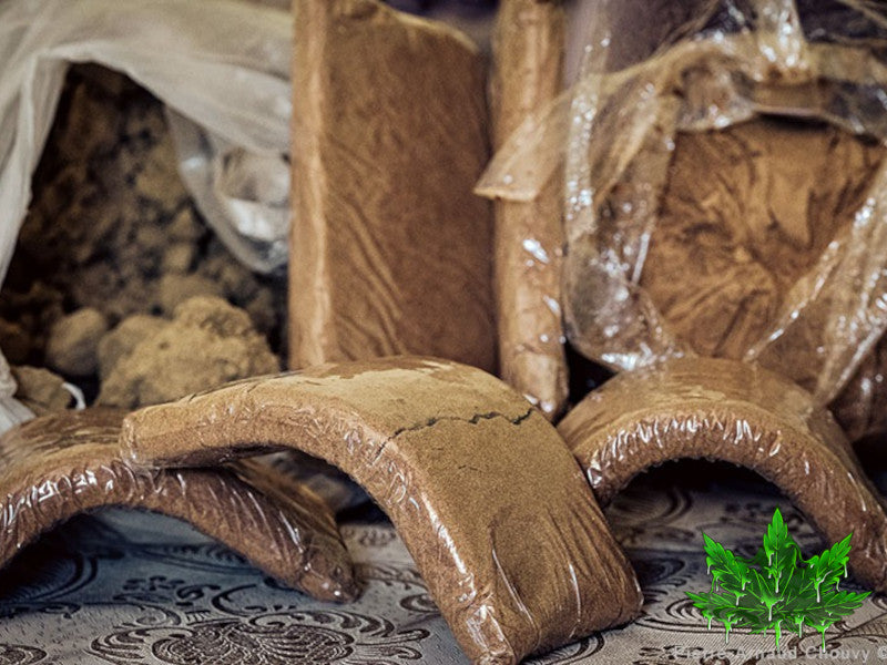 How to cure your hash – High Sticky Crew : Master CBD suisse