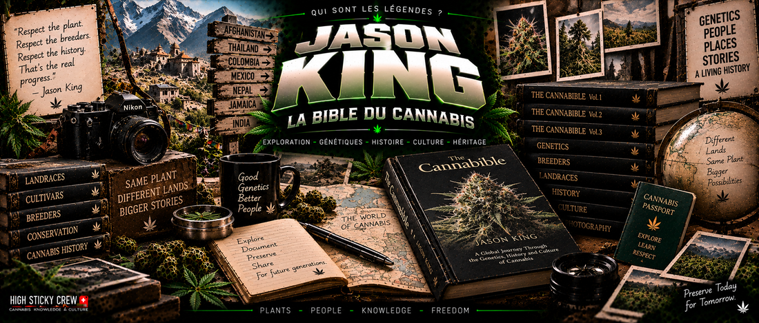 Jason King : La Bible Du Cannabis