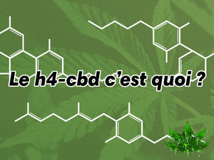What is h4cbd?