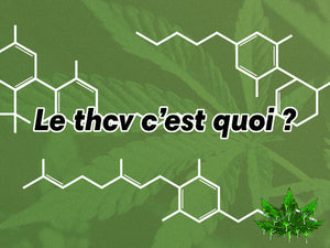 What THCV is?