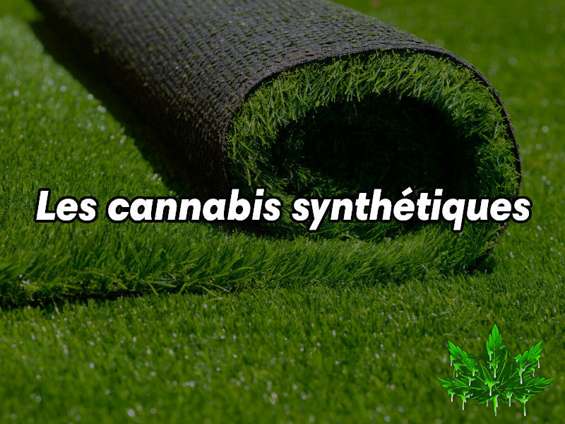 What are the different synthetic cannabis?