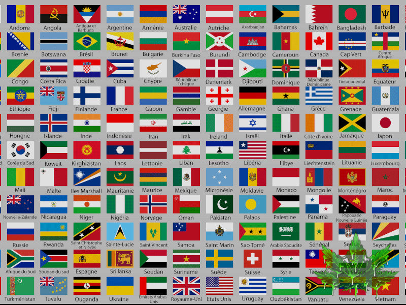 Liste de tous les pays au monde où le cannabis est Légal, Médical ou Illégal