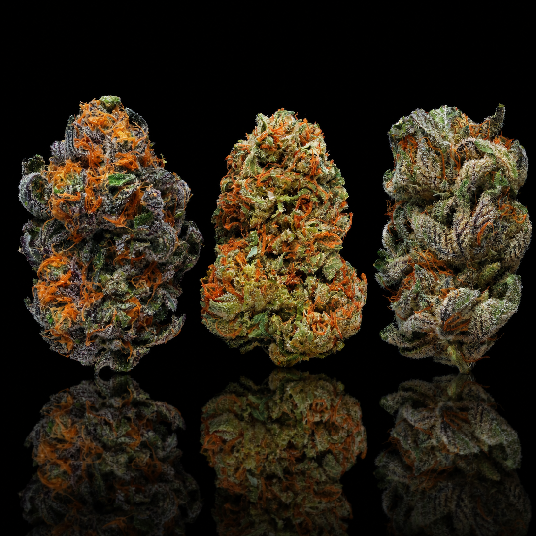 cbd interieur