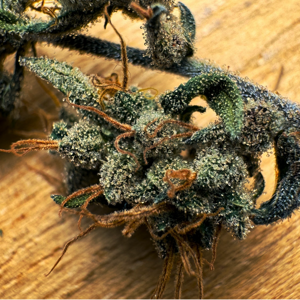 nevil fav strains