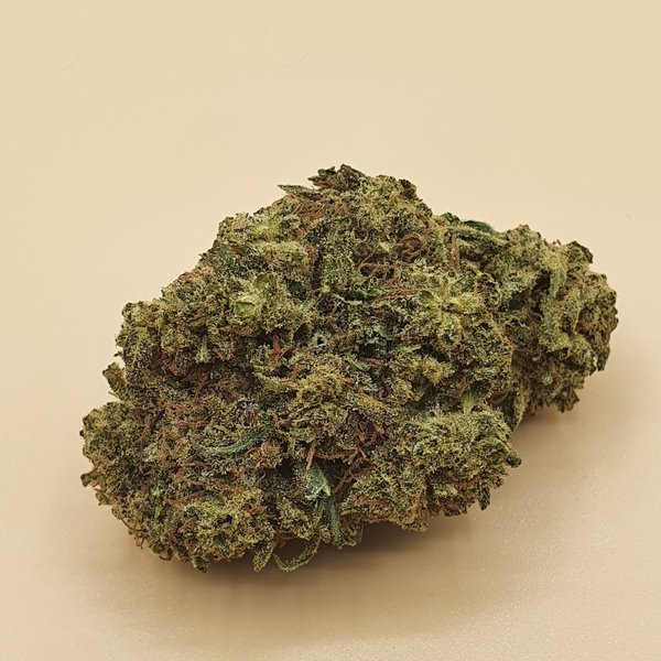 kush outdoor
