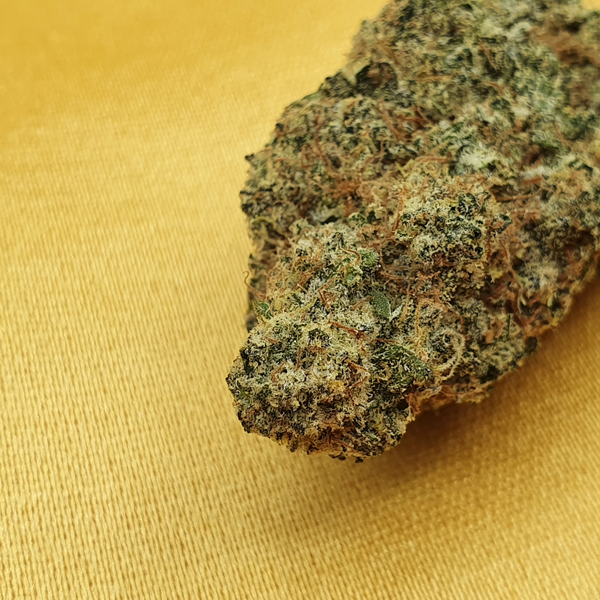 crazy terp cbd