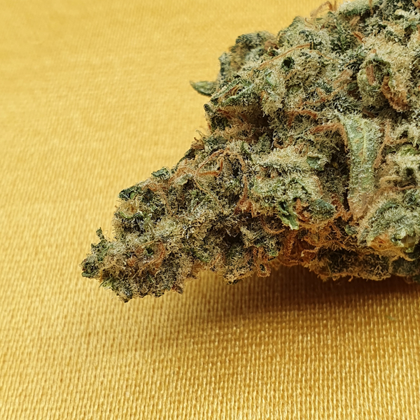 cbd living soil